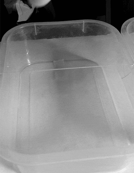 Loop Cola Vinilica GIF by RAMA