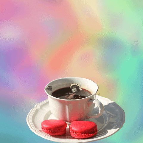 cup macaron GIF by Anne Horel