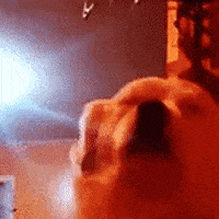 Party GIF
