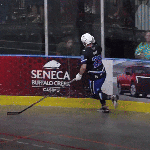 Ball Hockey GIF by USABH_giphy