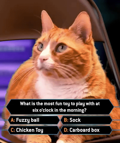 Asking Game Show GIF