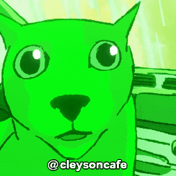 Shocked Cat GIF