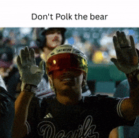Asu Baseball GIF