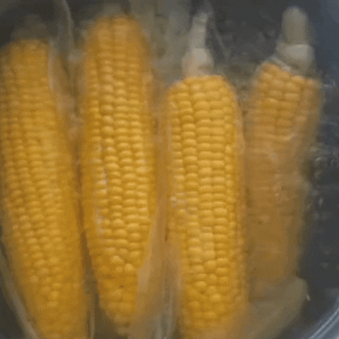 Vegetables Corn GIF
