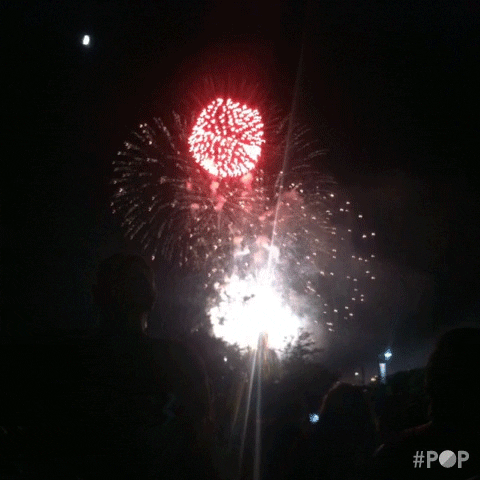 4th of july fireworks GIF by GoPop