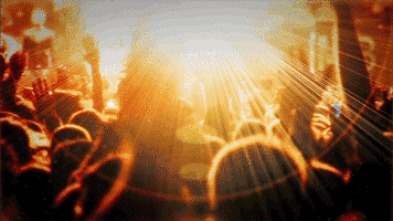 GIF by Bacardi Triangle