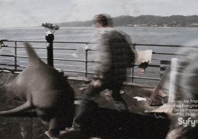 alexgarofalo31  GIF