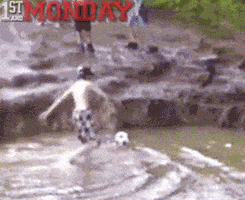 fail GIF by FirstAndMonday