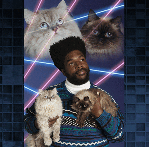 cats lazers GIF by Okayplayer