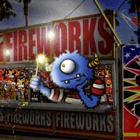 fourth of july summer GIF by Chris Timmons