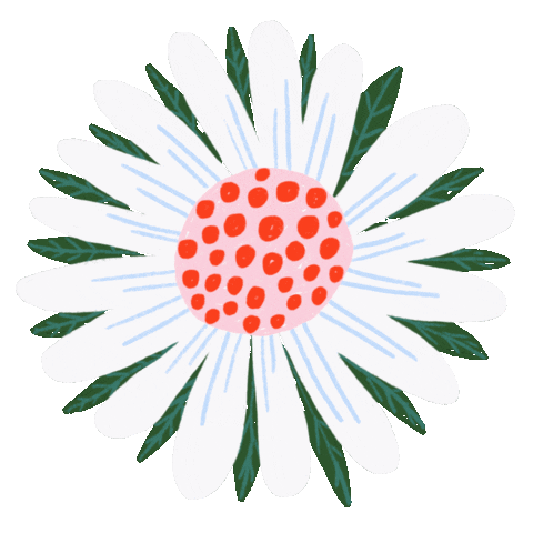 Animated Sticker