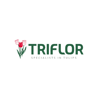 Triflor Sticker