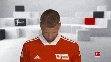 Line Up Smile GIF by Bundesliga