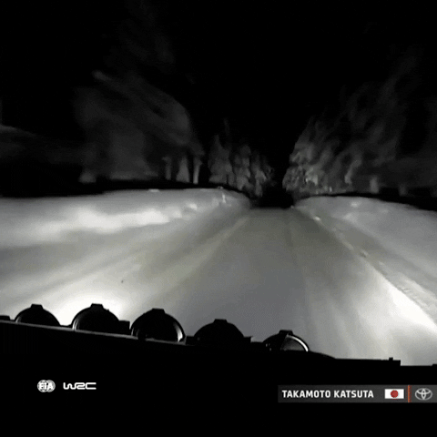 Car Omg GIF by FIA World Rally Championship