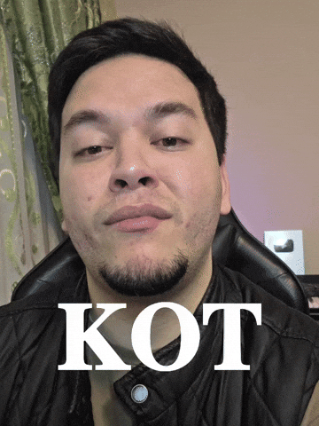 Kot GIF