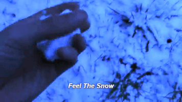 Official_AProd art dog snow winter GIF