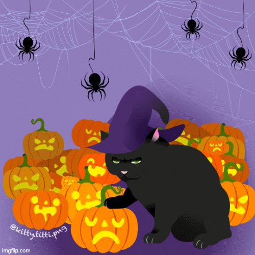 kitty_titti halloween spooky black cat spoopy GIF