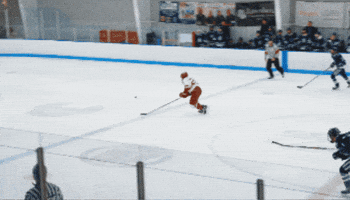 IupHockey GIF