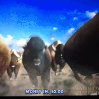 200.gif?cid=fc005b0828e62fad725e365b05eff794557231532acc41f3&rid=200.gif&ct=g