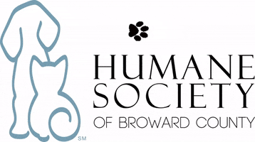 Humane Society Dog GIF by Humane Society of Broward County