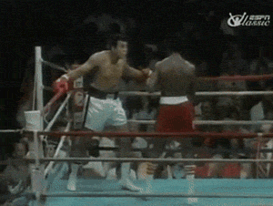 source.gif