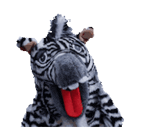 Homburger Carneval Verein 1902 e.V. Sticker