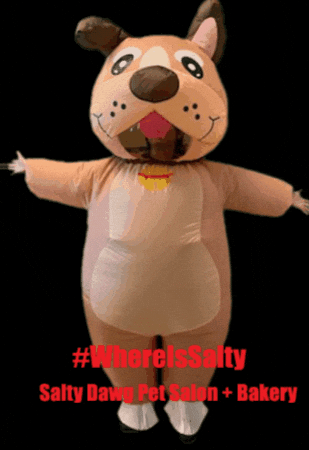 Doggrooming Petgrooming GIF by Salty Dawg Pet Salon + Bakery