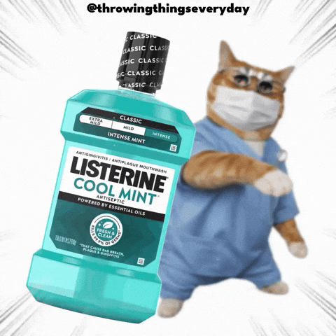 Cat Throwing GIF