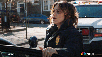 Angry Season 24 GIF by Law & Order
