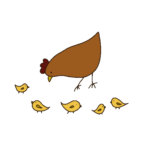 Chicken Sticker