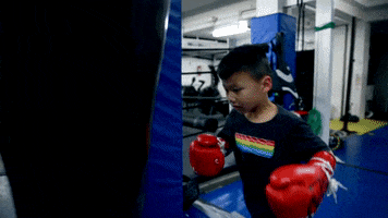 Boxing GIF