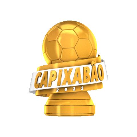 Capixabao2022 Sticker by futebolcapixabaoficial