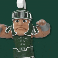 Touch Down Michigan Football GIF by Michigan State Athletics