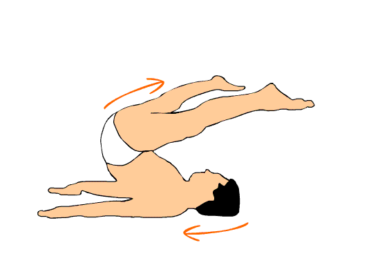 anatomy