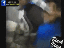 pancho  GIF