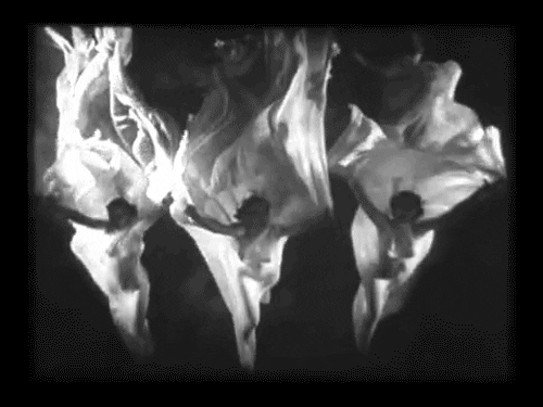 black and white falling GIF