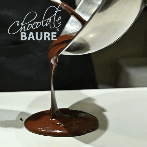 Chocolate Baure GIF