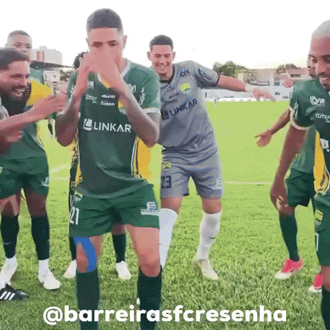 Bfc GIF