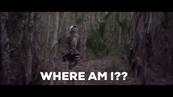 Searching Where Am I GIF by Will Singe