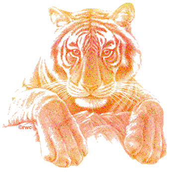 geaux tigers