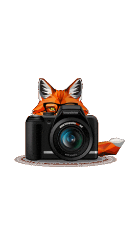 fotografierbar Sticker