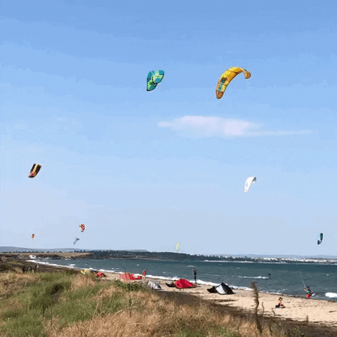 Summer GIF