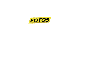 Focora Sticker by Foco Radical