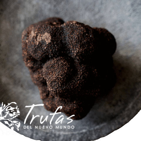 Black Truffle GIF by Trufas del Nuevo Mundo
