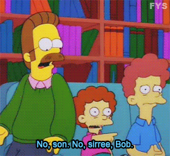 ned flanders todd GIF