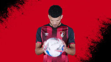 Football Bounce GIF by AFC Bournemouth