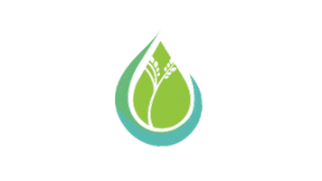 Peace Sticker by TREEducation