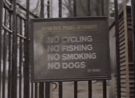 Rejected Dog GIF
