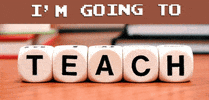 Teach in Tampa GIF