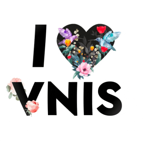 VNIS GIF